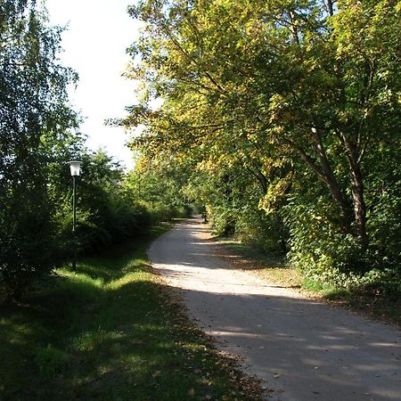 Ferienhaus Am Klosterwald Dargun Екстер'єр фото