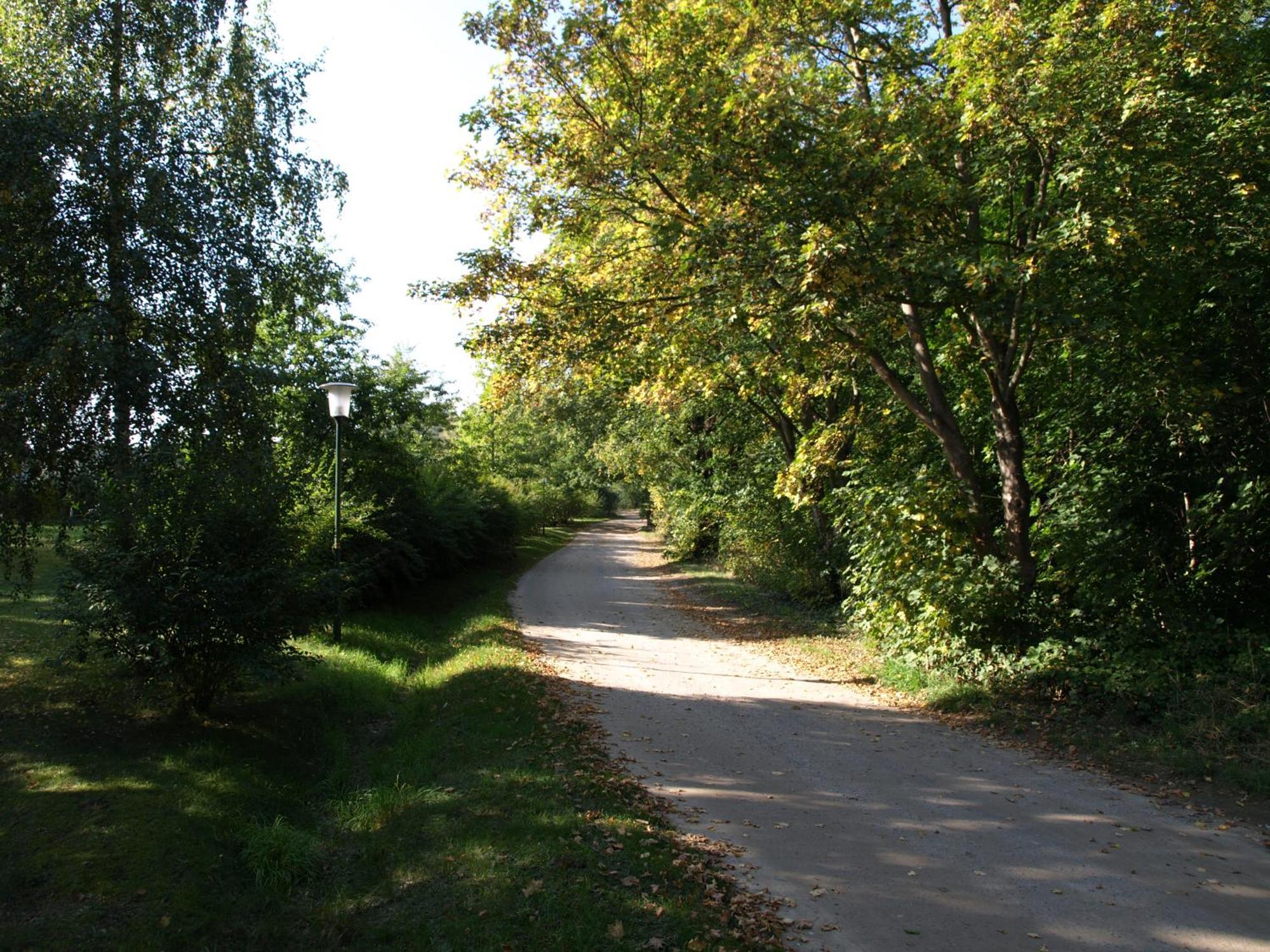 Ferienhaus Am Klosterwald Dargun Екстер'єр фото