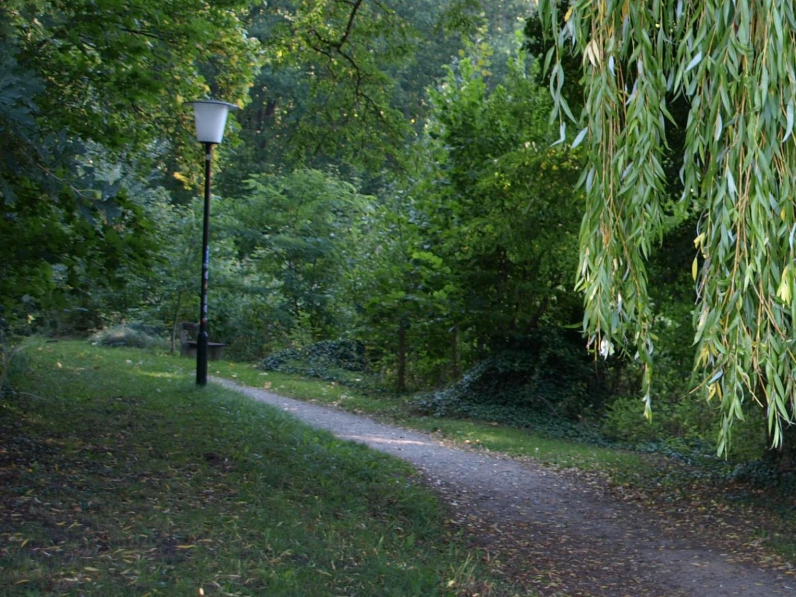 Ferienhaus Am Klosterwald Dargun Екстер'єр фото