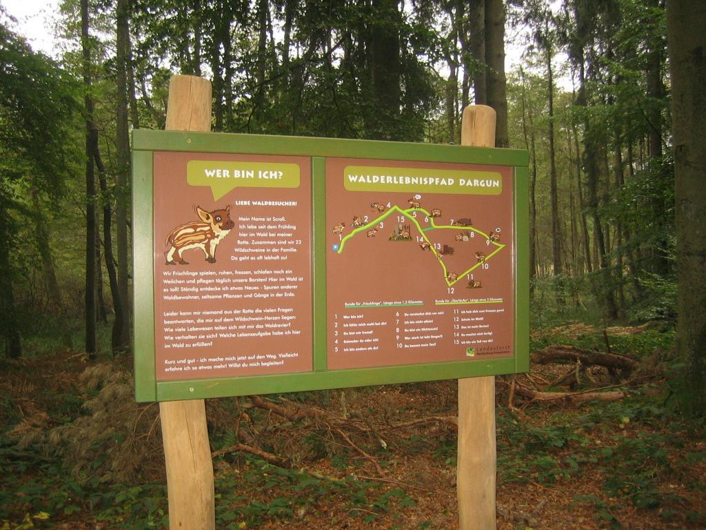 Ferienhaus Am Klosterwald Dargun Екстер'єр фото